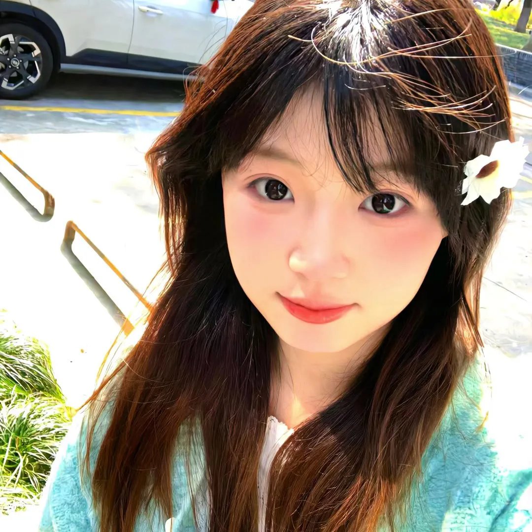 厨房的爱丽丝